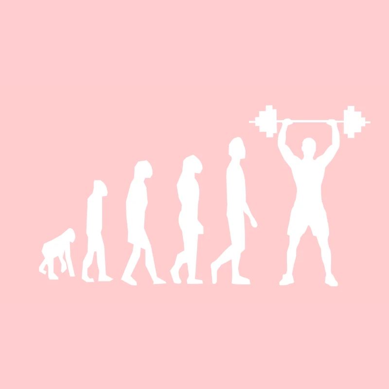 Fitness Gewichtheben Evolution Workout Sport