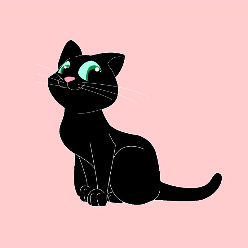 Katze