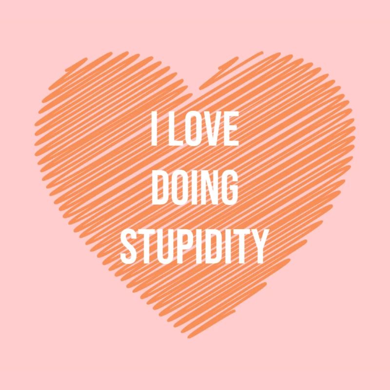 Faiseur de stupidité