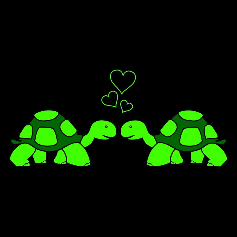 Amour de tortue