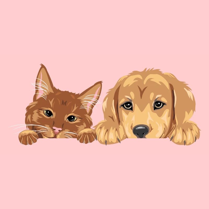 Chat roux et chien chiot Golden Retriever