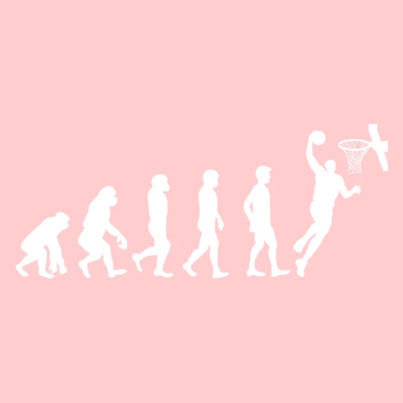 Evolution basketball