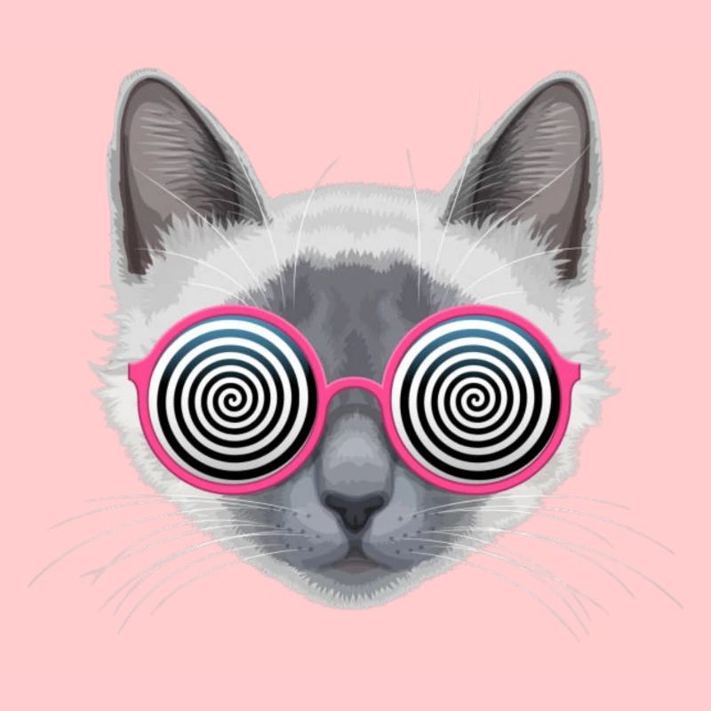 Chat hypnotique