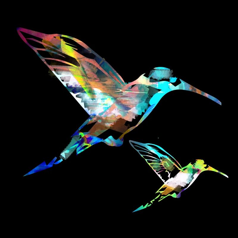 kolibri, graffiti ,malerei, vogel,malerei,