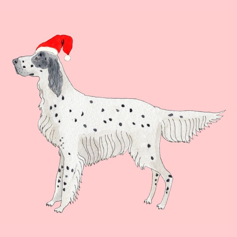 Setter anglais Fundogs Noël