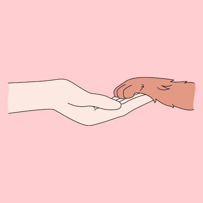 A human hand and a dog's paw