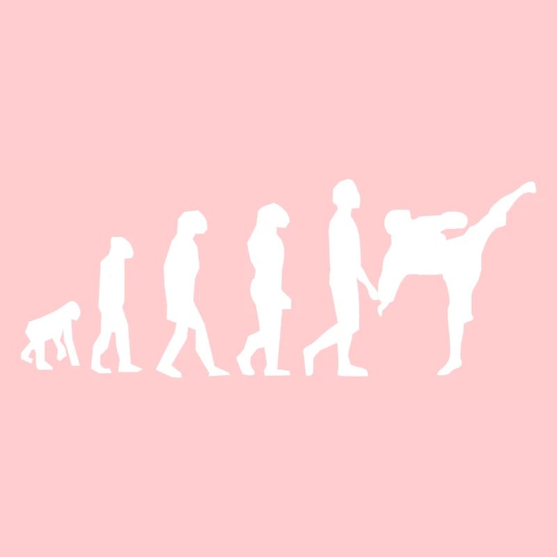 Art martiaux évolution