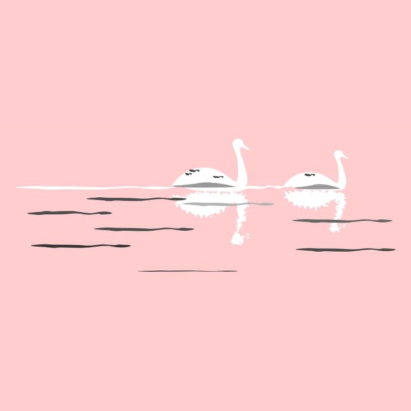 swans at night
