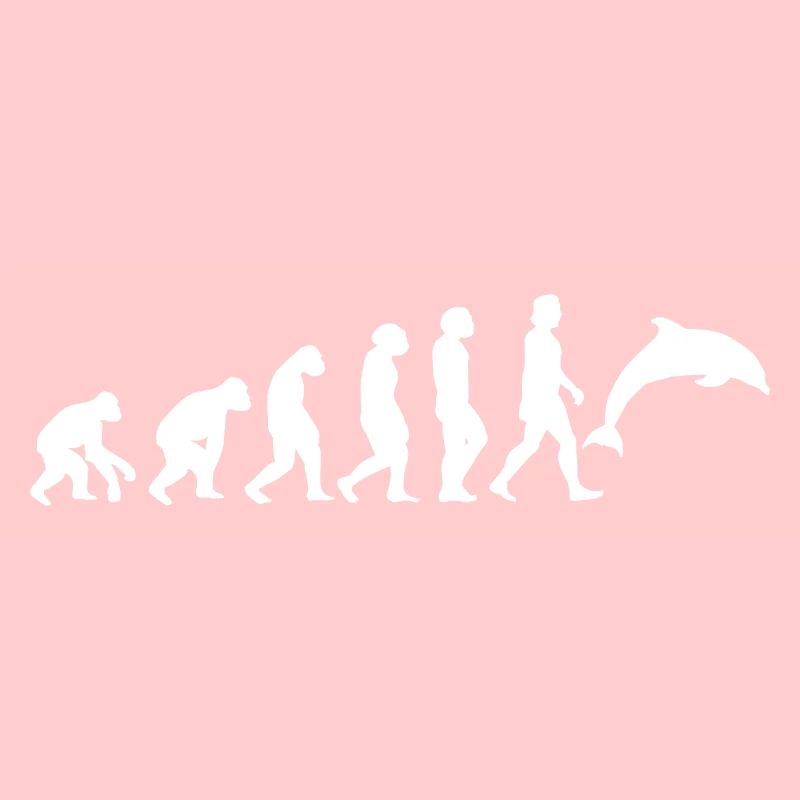 Delfin weiß Evolution Tiere Meerestiere Fische Wal