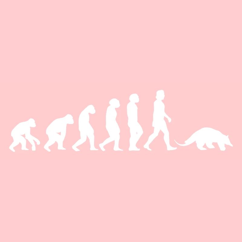 Ameisenbär Bär Evolution der Menschen Tiere