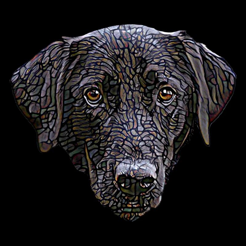 Visage de Labrador Retriever noir