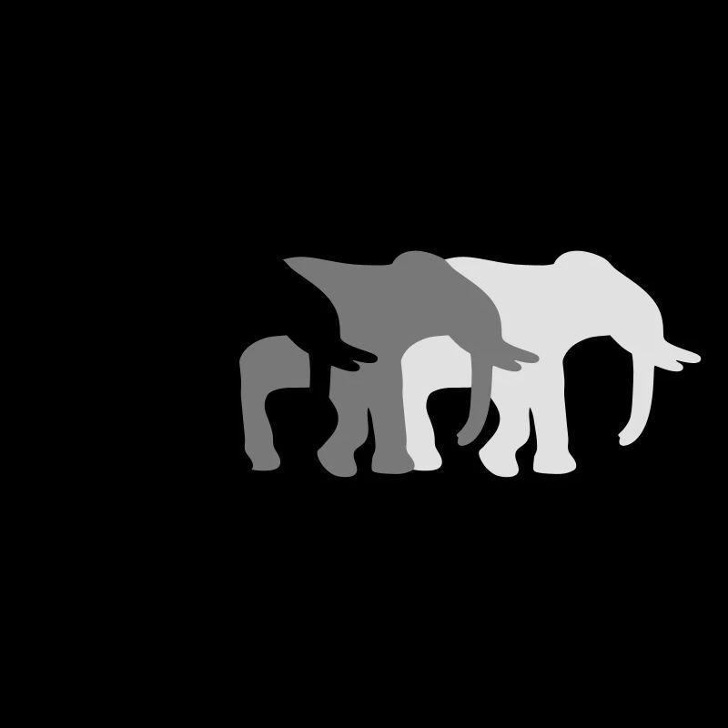 3 Elephants