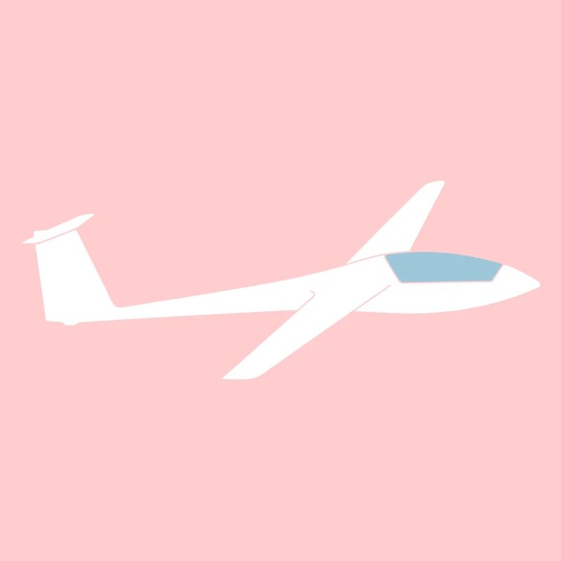 Ls3a glider glider pilot
