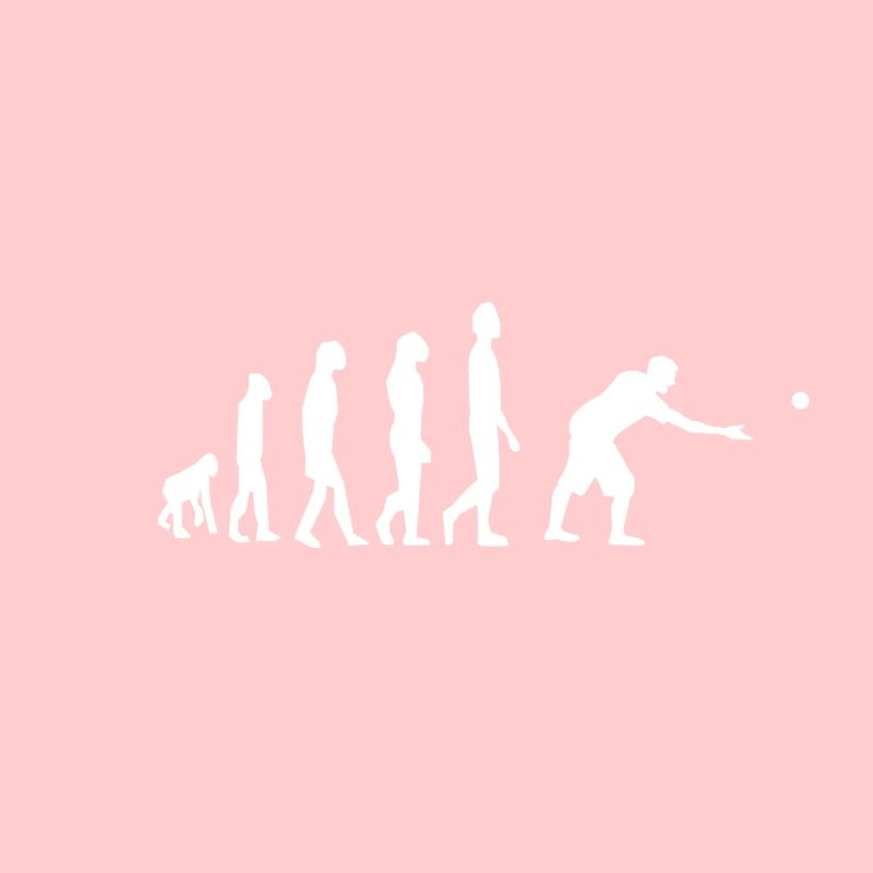 Boules Boccia Petanque Evolution