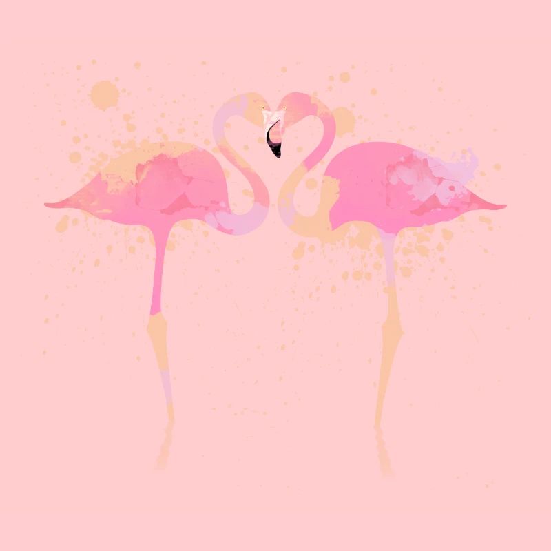 Flamingos