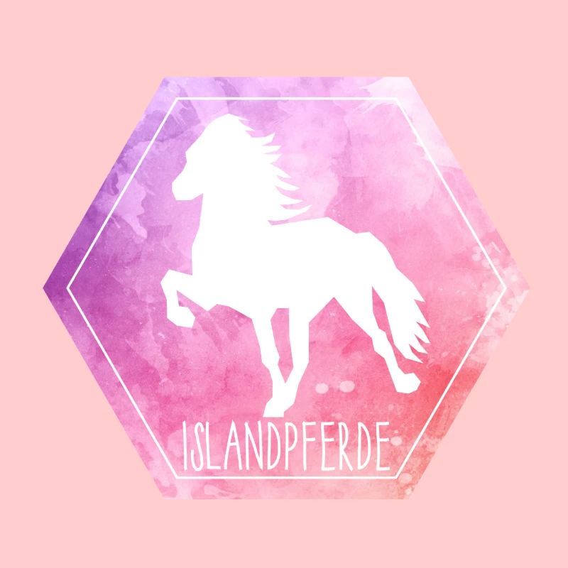 Islandpferd "Hexagon"