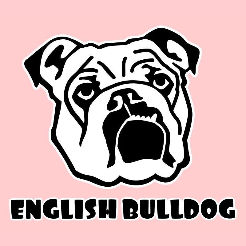 Anglais Bouledogue