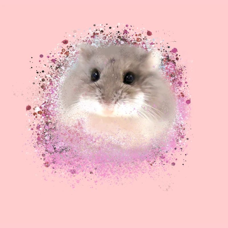 hamster nain, hamster, rose, graffiti, peinture