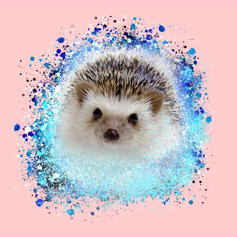 hérisson, bébé, graffiti, peinture, bleu,