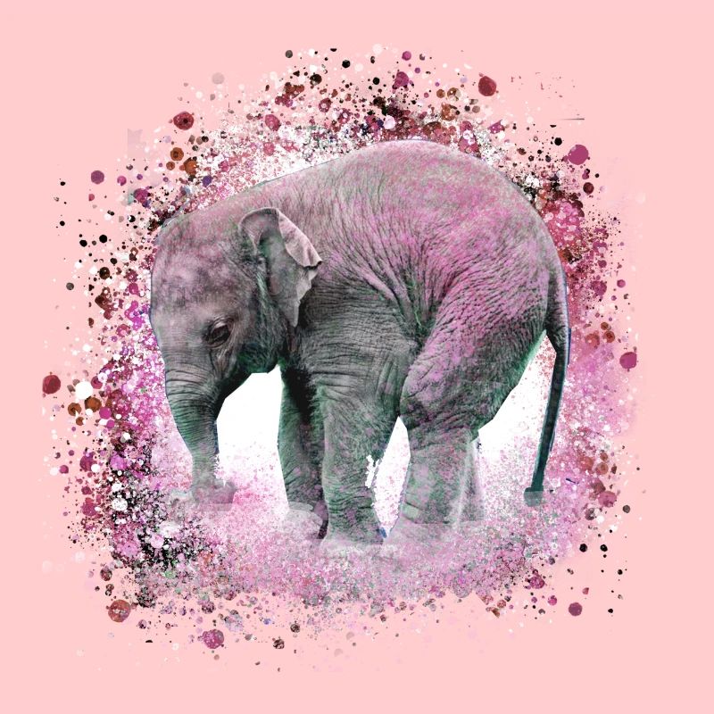 bébé éléphant, éléphant, graffiti, rose, peinture