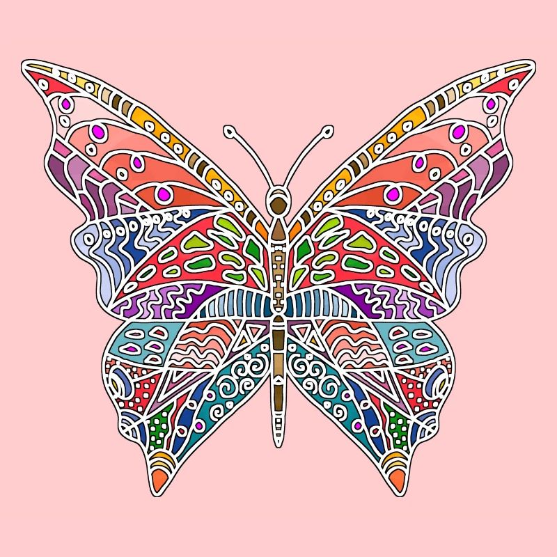 Papillon coloré