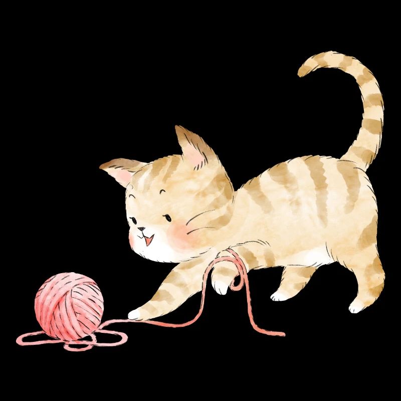 Playful kitten
