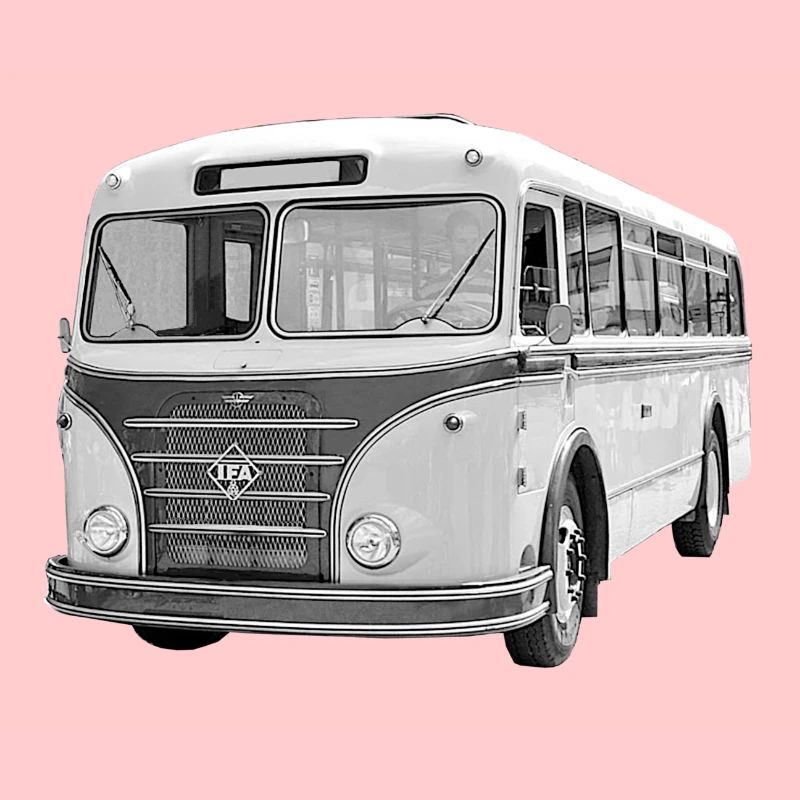 Bus IFA H6B Werdau DDR Oldtimer Ostalgie