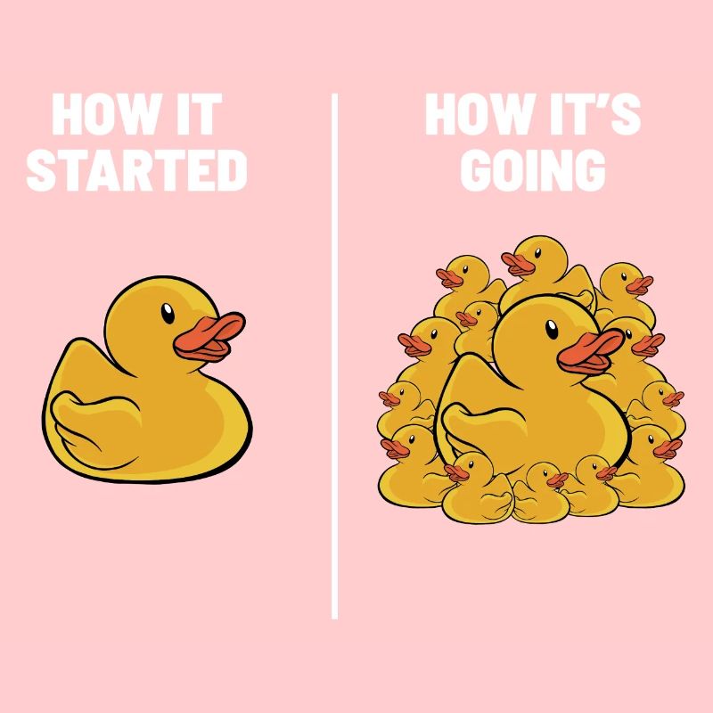 Rubber Duck Duckling Funny How It Started How It's