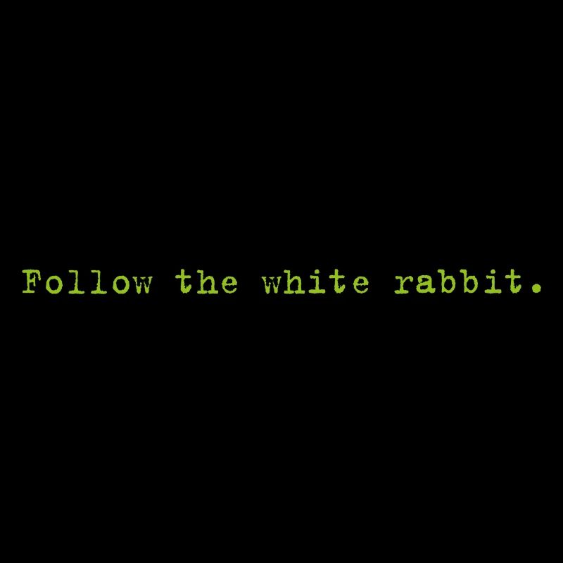 Follow the white rabbit Programming Informatik