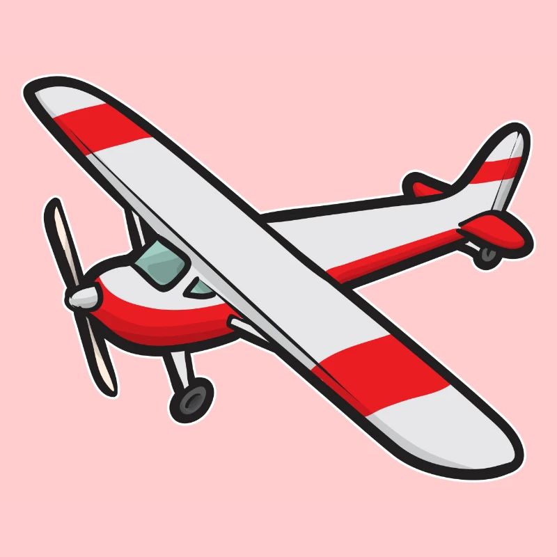 Remote Controlled Airplane Model Airplane