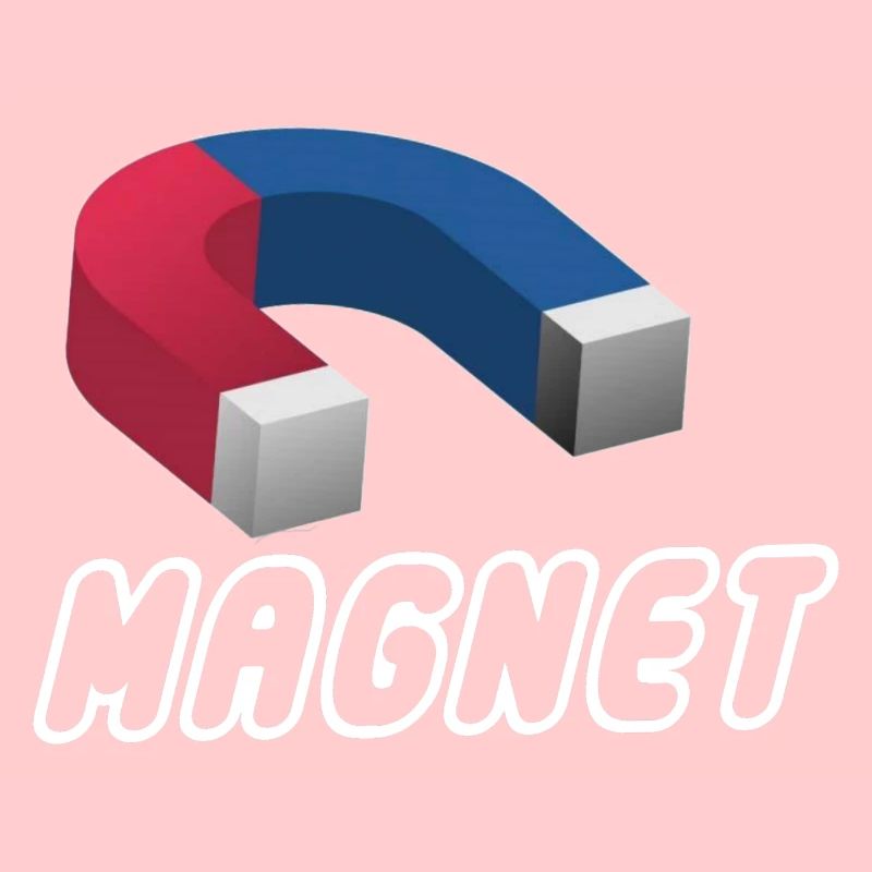 Magnet