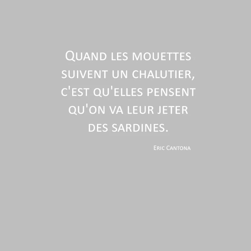Möwen - Eric Cantona