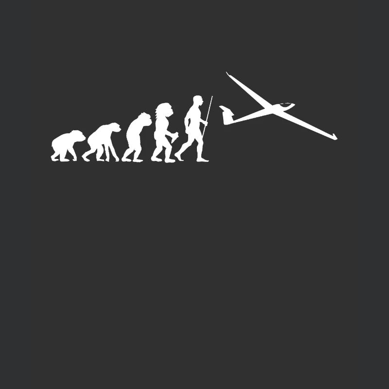 Glider pilot glider glider flying evolution