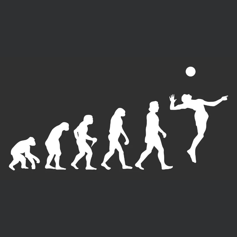 Evolution Volleyball Aufschlag Geschenkidee