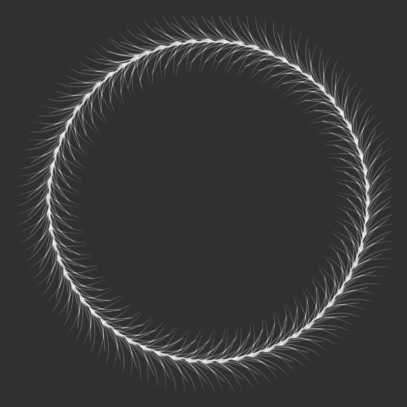 Circle - Ring - Shape - Round - Spring Ring White