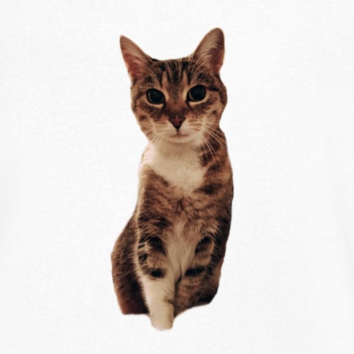 Katze - Männer Bio-T-Shirt mit V-Ausschnitt von Stanley & Stella