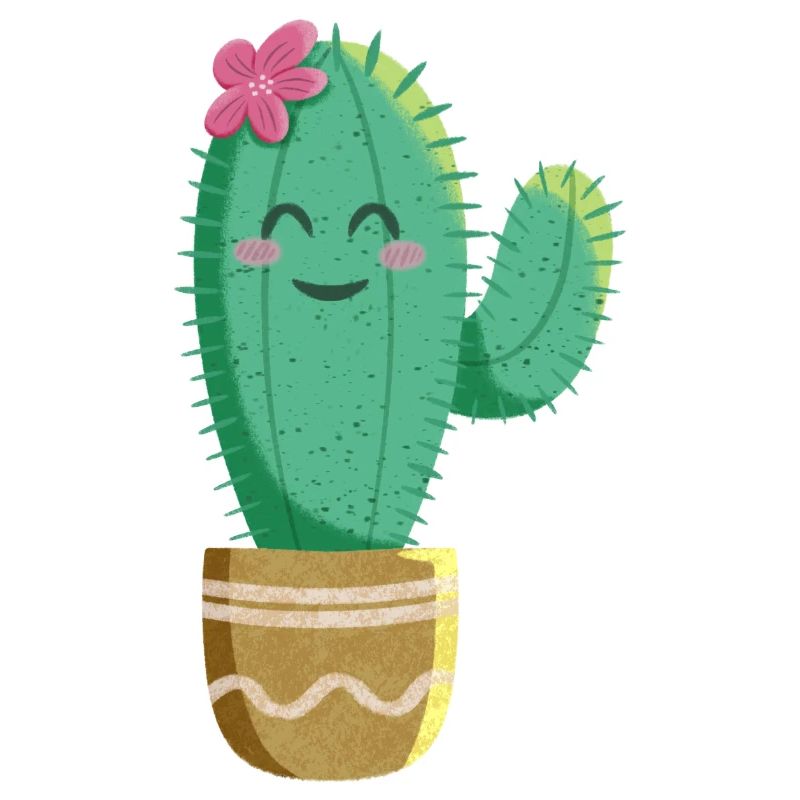 Cactus mignon avec fleur