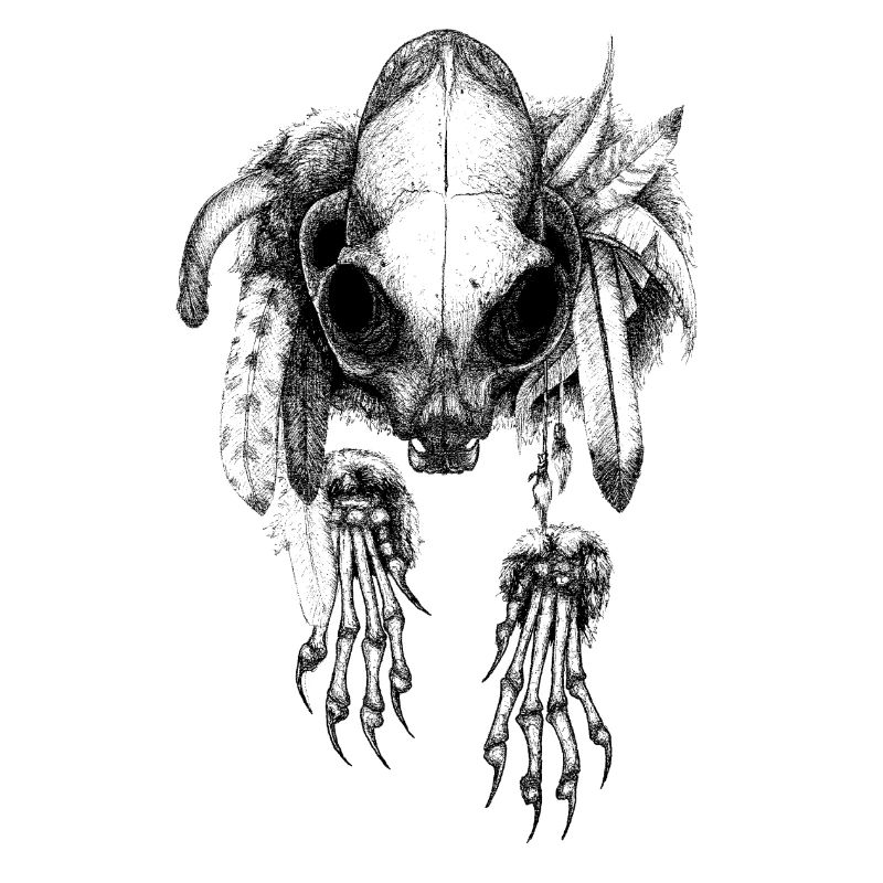 Skullcat