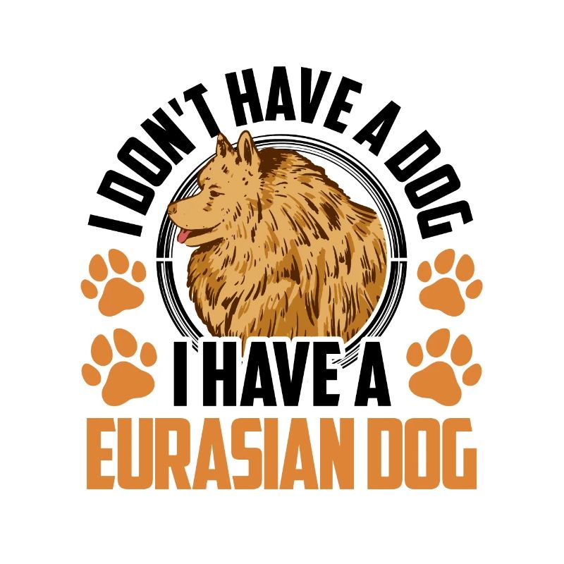 J’ai un Eurasier Eurasian Spitz