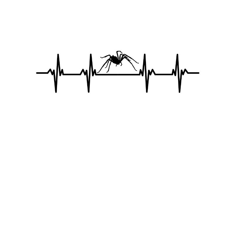 Spiders Spider web web arachnid legs 8 spider