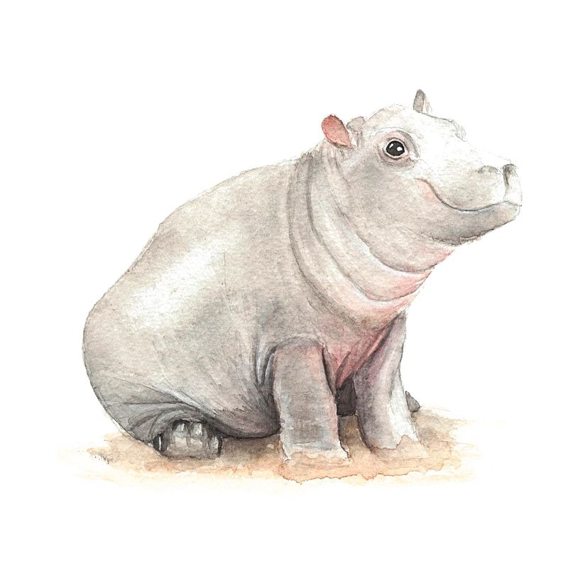 Nilpferd