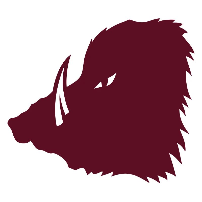 wild boar ferocious silhouette