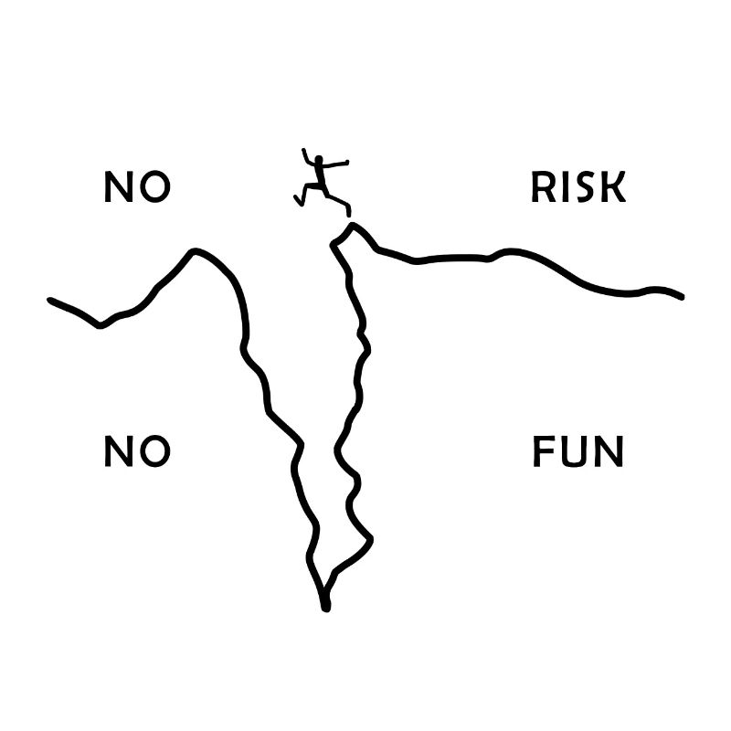 PAS DE RISQUE PAS DE FUN - action - risque