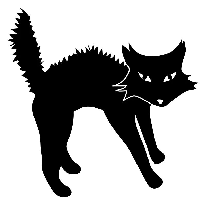 Chat méchant