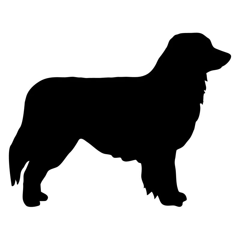 Australian Shepherd