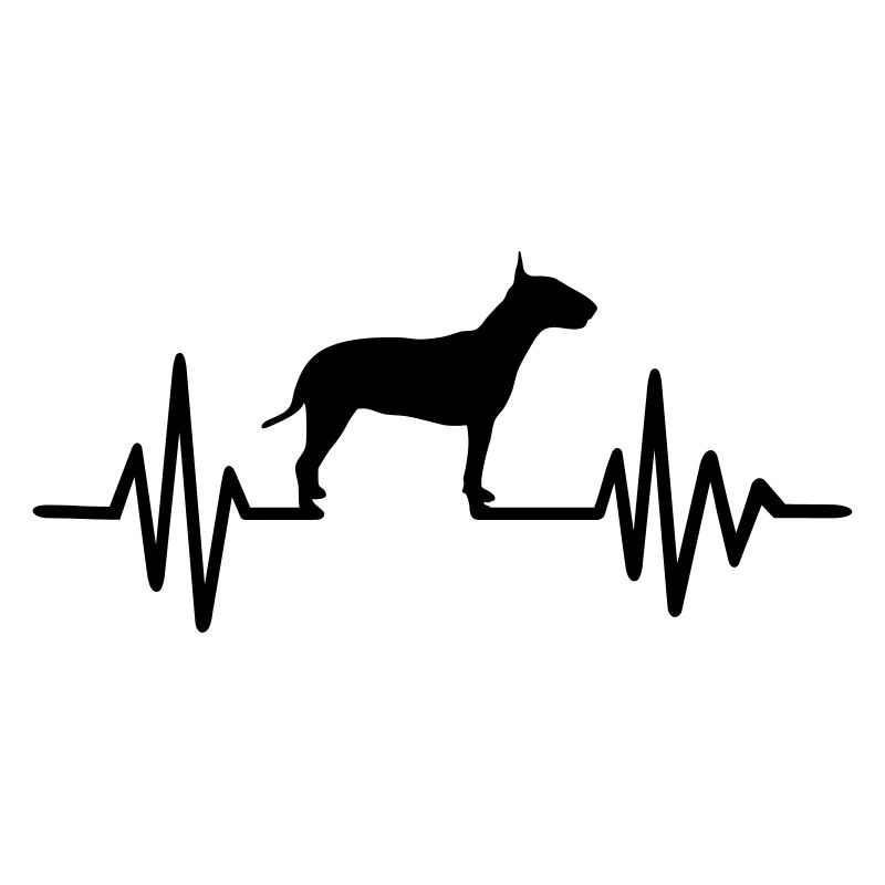 Bull terrier
