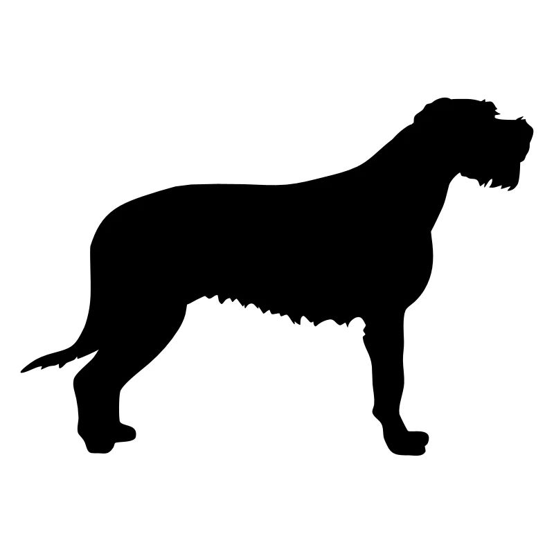 Irischer Wolfshund
