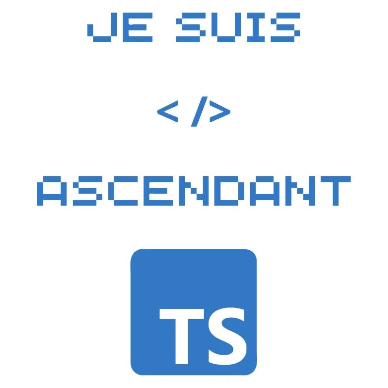 TS typescript developer gift