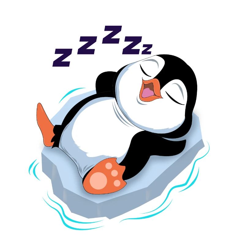 sleeping penguin tired time out break Antarctica