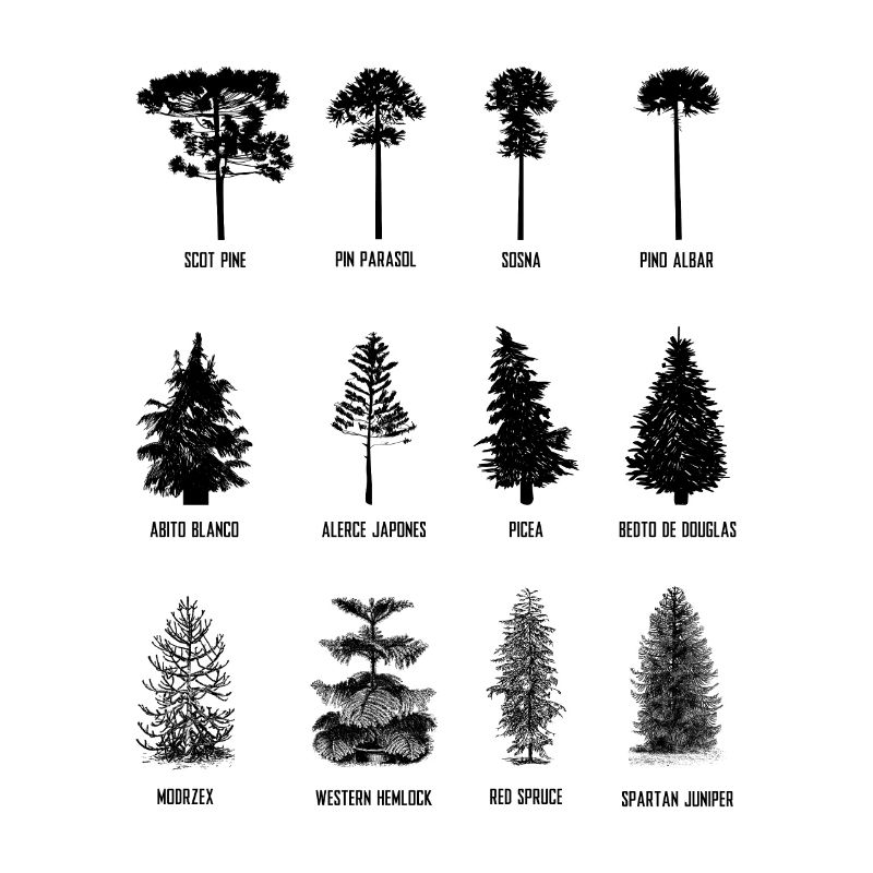 Arbre